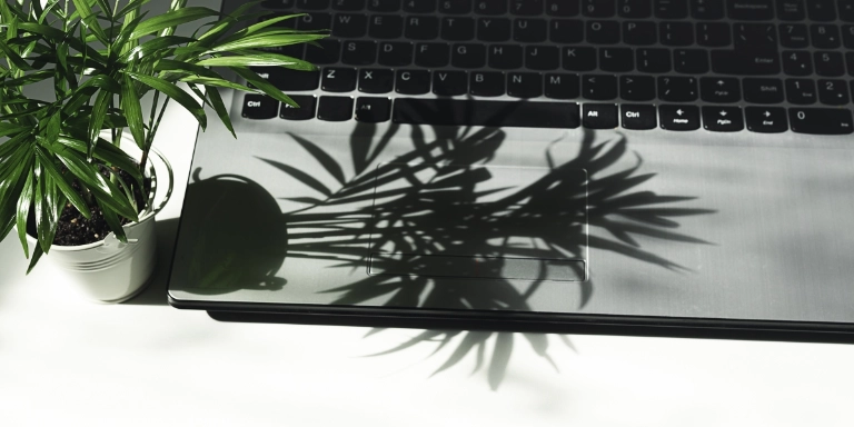 Laptop mit kleiner Palme