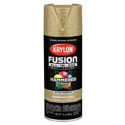 Krylon Fusion All-In-One Hammered can